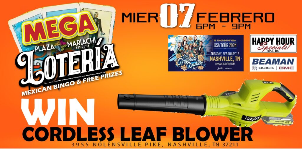 Loteria win a cordless leaf blower
