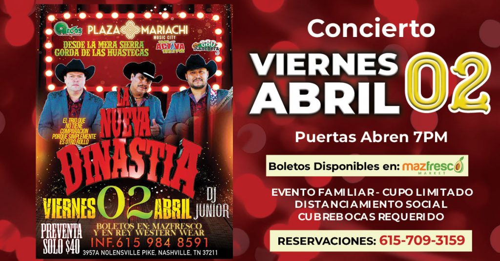 Dinastia Concert