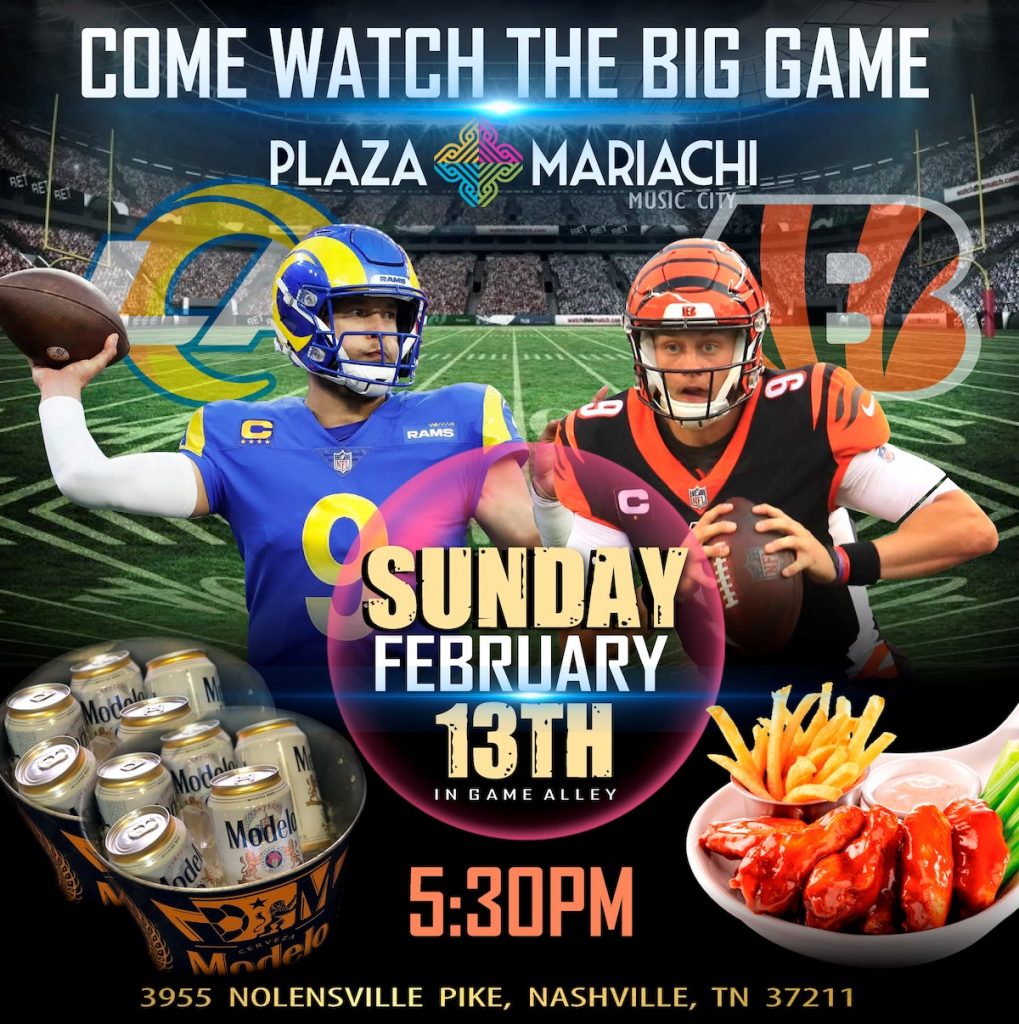 Big Game Viewing Party
