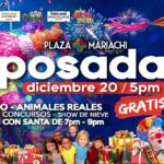 Posada Navideña