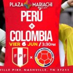 World Cup Qualifiers Viewing Party – Peru vs. Colombia