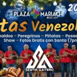 Gaitas Venezolanas Sentir Gaitero