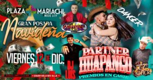 Partner Huapango competition