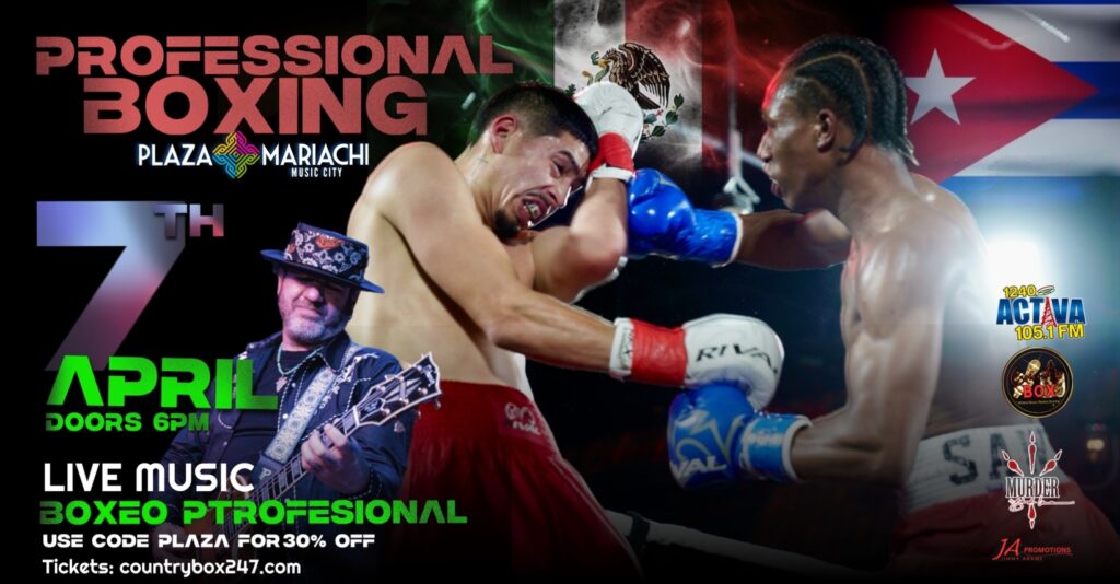 Professional boxing