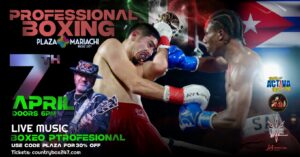Professional boxing