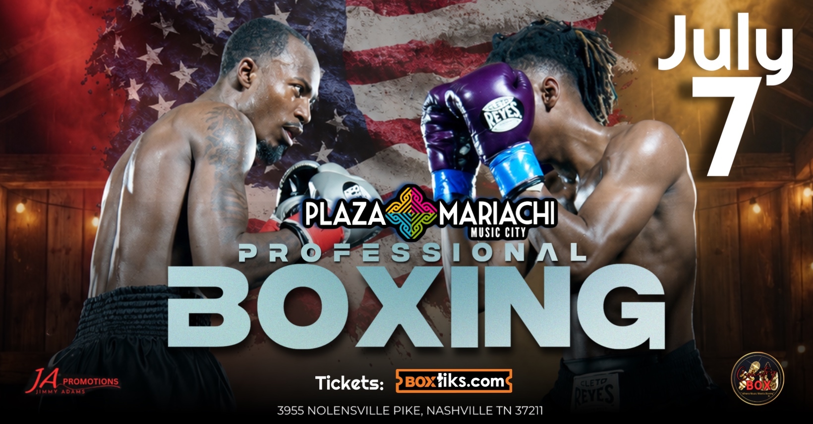 professional boxing