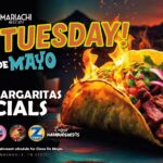 Cinco de Mayo - Taco Tuesday