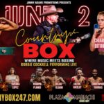 Professional Boxing