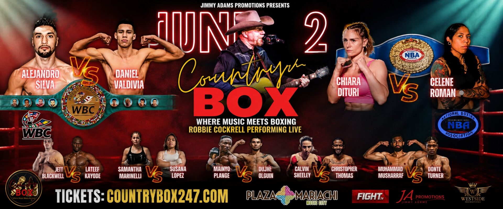 Professional Boxing