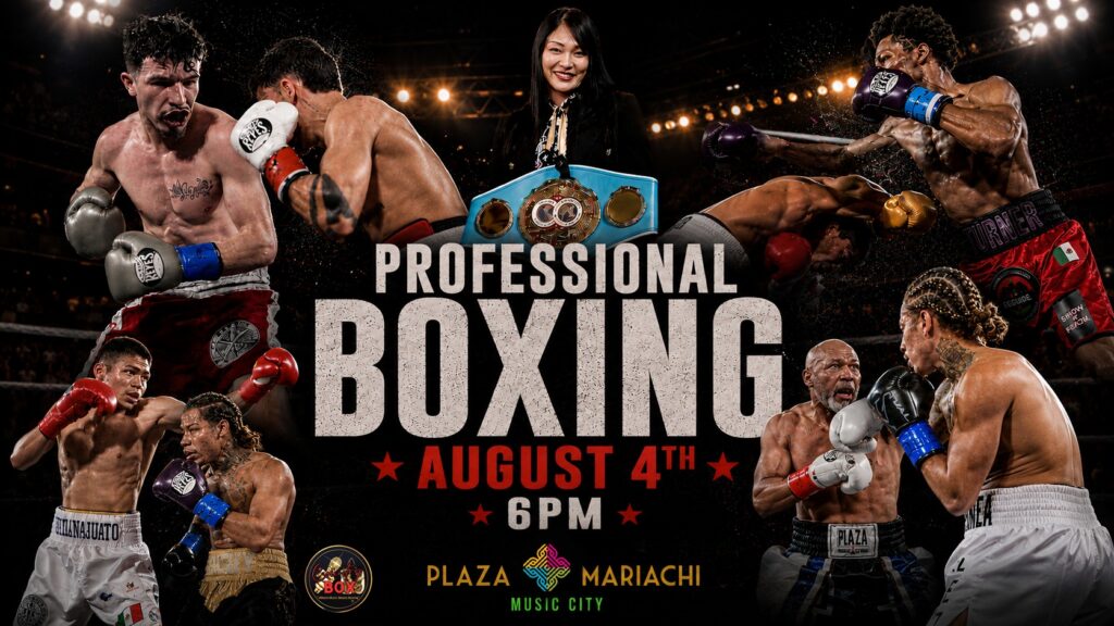 professional Boxing