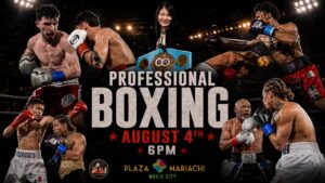 professional Boxing