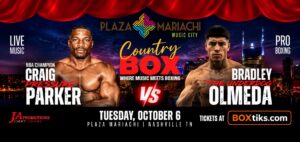 Professional Boxing
